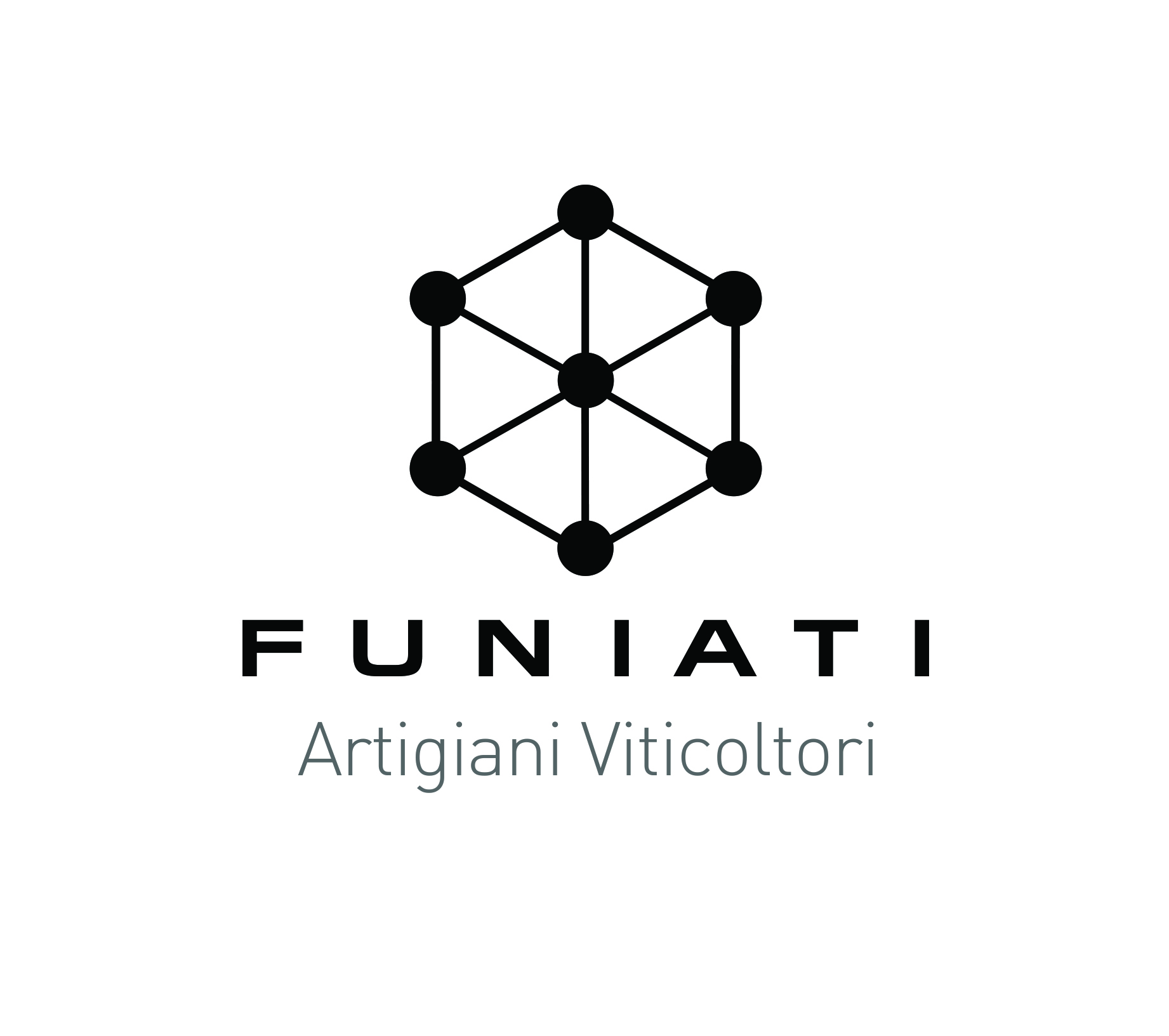 Azienda agricola Marco Funiati 로고
