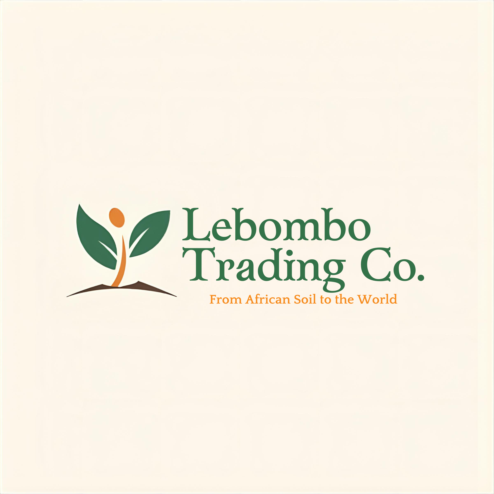 Black Forge Holdings (Pty) Ltd logo
