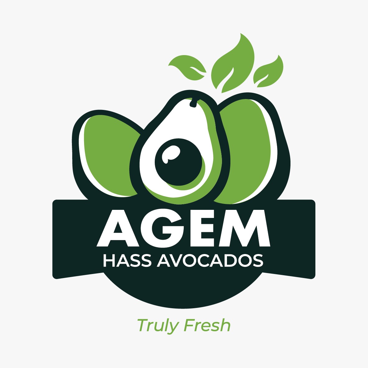 Agem Limited logo