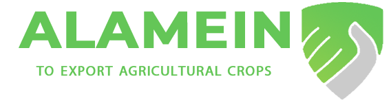 Alamein for exporting logo